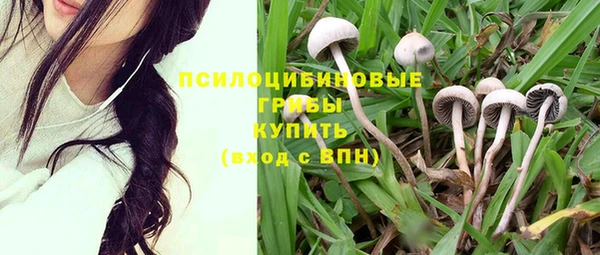 каннабис Алзамай