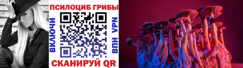цена наркотик Тамбов MEGA онион Псилоцибиновые грибы Magic Shrooms